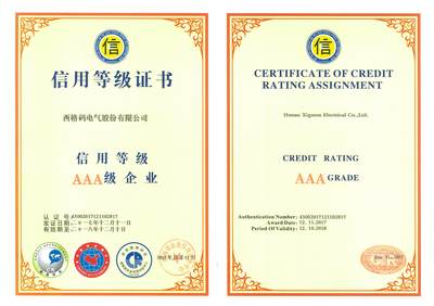 西格碼榮膺湖南省“AAA級信用單位”，企業信用建設再添新章